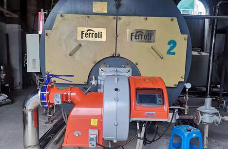 東莞市燃?xì)忮仩t低氮燃燒器改造